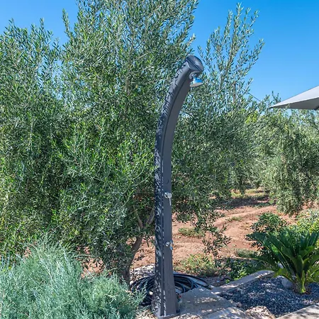 Irissa Paralia Irion