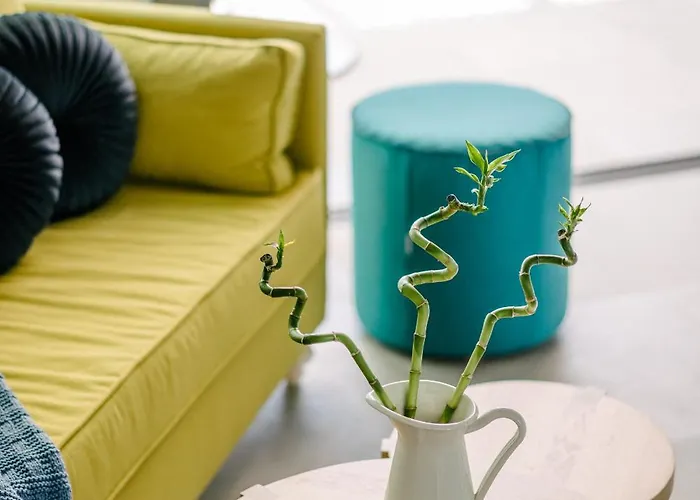 Irissa * Paralia Irion