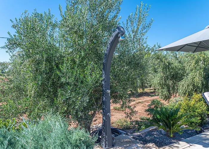 Irissa Paralia Irion